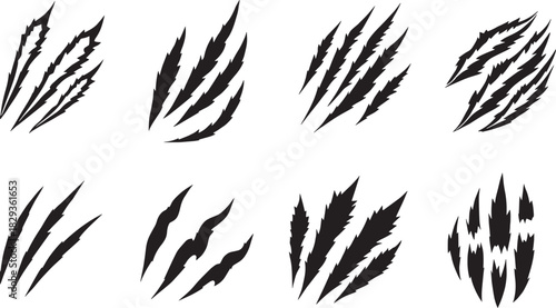 wheat ears isolated on white