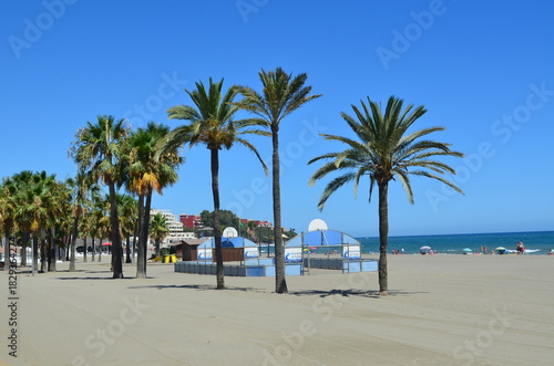 Beaches in Alicante, Spain, with their beautiful palm trees