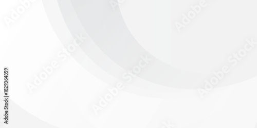 Abstract minimalist white and gray curve modern background. texture white pattern. vector illustration