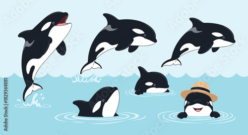 A whimsical illustration depicting a playful group of happy cartoon orcas, including one wearing a straw hat, swimming and jumping in the blue ocean.
