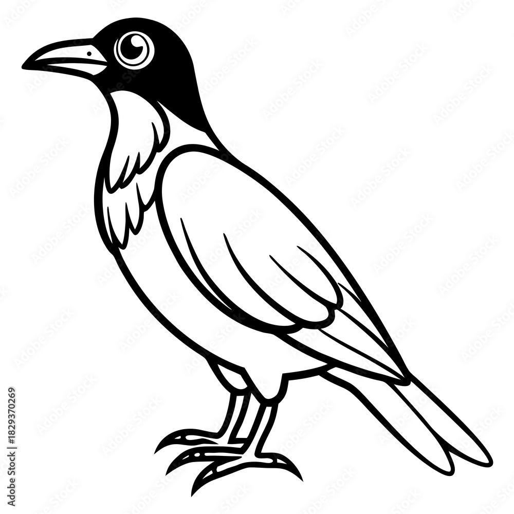 Fototapeta premium bird on a branch