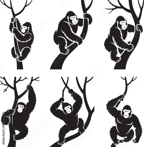 Gorilla Collection in Black and White Silhouette Vector Illustration