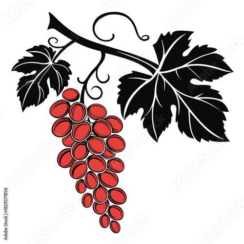 red grape on white background 