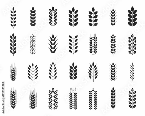 Collection of various wheat and grain stalk icons