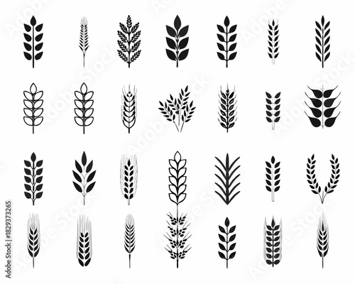 Collection of black wheat ears and grain stalk icons