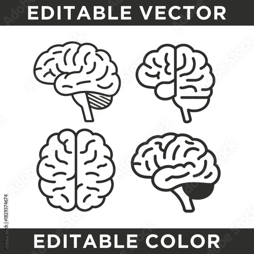 Line art illustrations of the human brain in various views, including side, frontal, and top-down perspectives, suitable for medical or educational graphics.