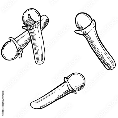 Clove spice vector line art hand drawn illustration