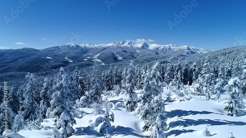 Winter Landscape Snowy Mountain Range Over Forest Under Bright Clear Blue Sky