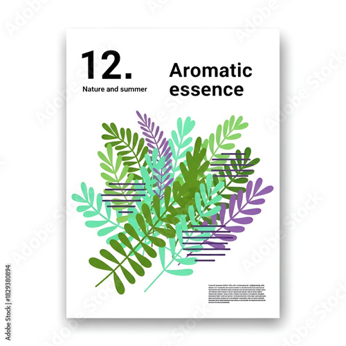 Aromatic essence nature poster with summer leaves vector illustration