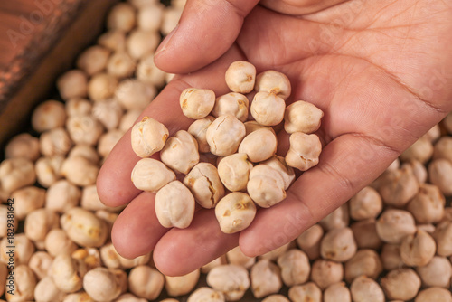 Hand Holding Raw Dried Chickpeas Beans for Cooking - Natural Legume Food Ingredient