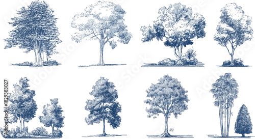 Collection of eight blue ink sketch style trees with detailed foliage and trunks on white background
