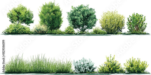 Collection of diverse green trees and shrubs with detailed foliage and grass elements bush