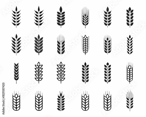 Collection of wheat and grain ear icons in black silhouette
