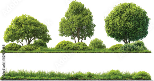 Three green trees and bushes with grass on white background nature