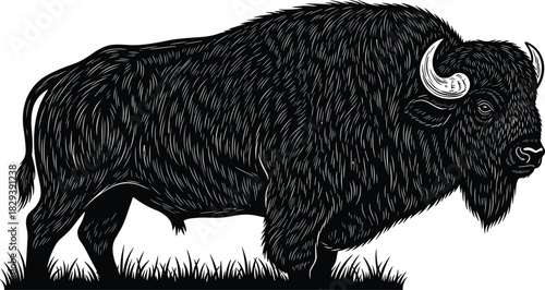 American bison or buffalo standing in grassy prairie land, majestic North American wild mammal isolated, detailed monochrome vector illustration, powerful livestock mascot design element.