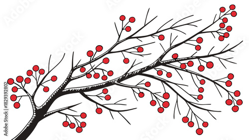 Hand-Drawn Sketch of Bare Branch with Red Berries Vector, A hand-drawn sketch illustration of a leafless tree branch covered in numerous clusters of small red berries.