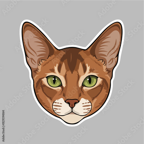 Cute Abyssinian Cat Face Drawing Isolated Vector Sticker Design