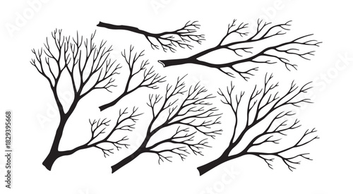 A collection of hand-drawn tree branches, featuring dry branches against a white backdrop.

