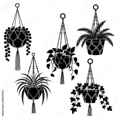 Set of five black silhouette macrame hanging planters, featuring various houseplants like fern, ivy, and string of pearls, with intricate knotting.