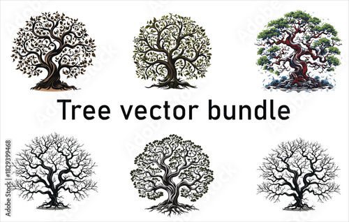 silhouette eucalyptus tree with koala set bundle on white backgound, Tree silhouette icon collection, forest and pine tree vector set, nature foliage design bundle, simple black isolated tree shapes