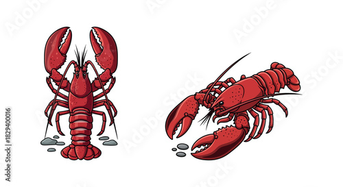 Vector Illustration of Two Red Lobsters on a White Background