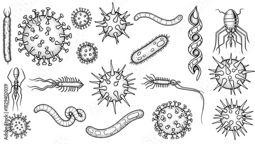 Microorganism and germs set