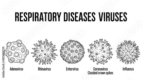 Respiratory virus illustrations collection