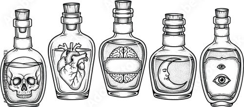 Vintage alchemy bottles set, occult magic potions, human organs, skull, heart, brain, engraving, vector illustration