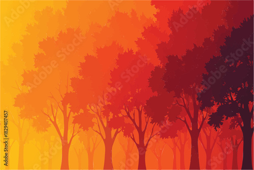  Autumn Forest with Warm Colorful Trees - Vibrant Fall Foliage in Sunset Lighting
