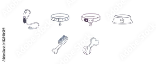 Pet accessories set on black background