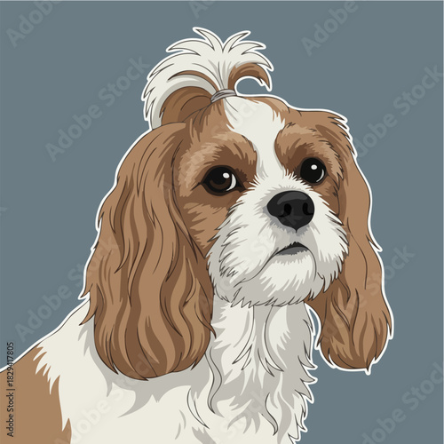 Cute Cavalier King Charles Spaniel Dog Portrait Illustration