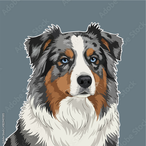 Australian Shepherd Dog Portrait Illustration Sticker Design