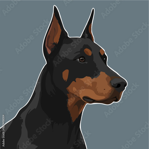 Majestic Doberman Pinscher head illustration profile view.