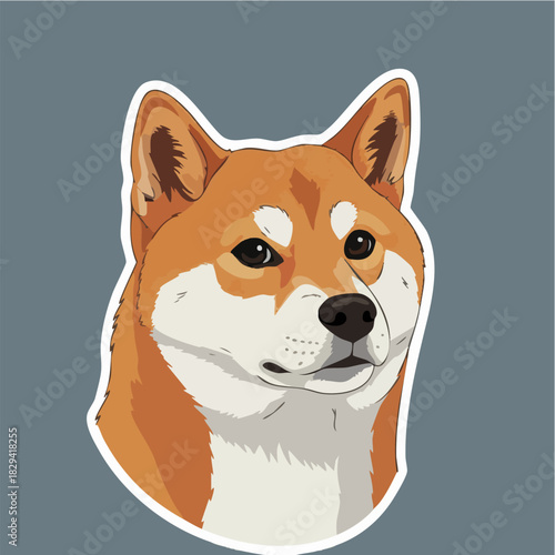 Shiba Inu Dog Head Sticker Design Illustration on Background
