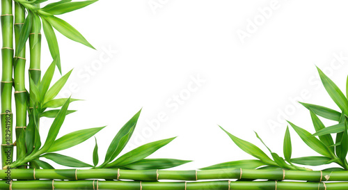 Green Bamboo Frame On Black Background With Copy Space