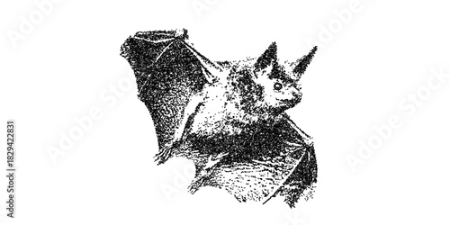 Eerie bat art, perfect for Halloween designs, spooky scenes, or nature-themed graphics, great for vector based designs and art projects, scalable