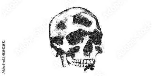 Eerie skull illustration perfect for Halloween designs or medical diagrams, creating a spooky and captivating visual impact, a timeless memento mori