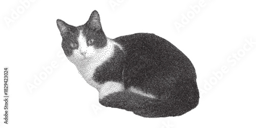 Charming stippled monochrome portrait of a cat with expressive eyes, perfect for pet lovers, branding, and vintage designs, originally a scalable graphic