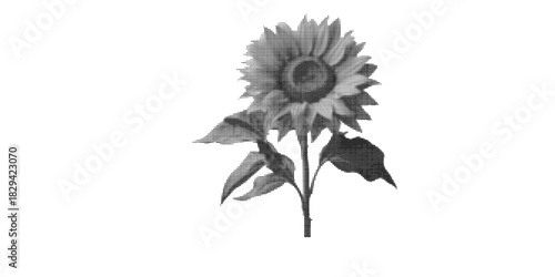 Bold sunflower blossom in artistic dot pattern, a unique floral design perfect for summer, nature, and botanical themes. A standout decorative element