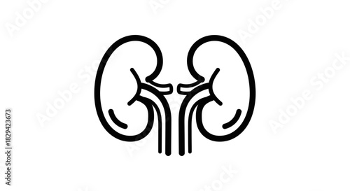 Kidney Icon – Renal Anatomy, Medical Organ & Healthcare Symbol