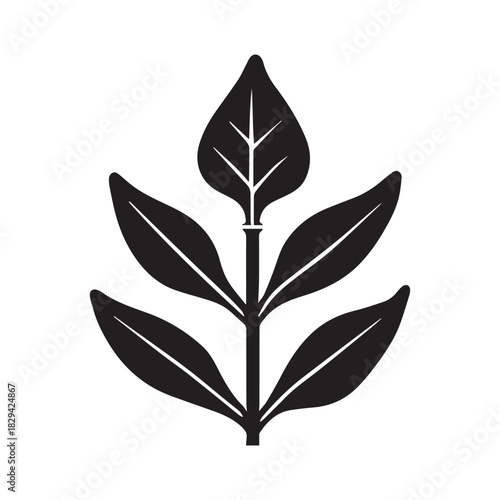 Refined Botanical Pharmacy Mark Expressing Natural Care