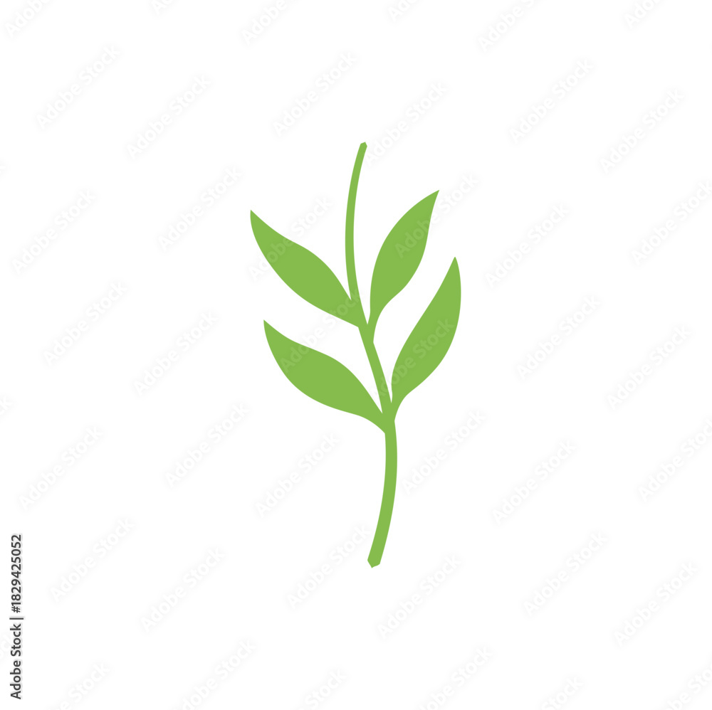 Fototapeta premium Branch with leaves. Nature plant leaf vector illustration
