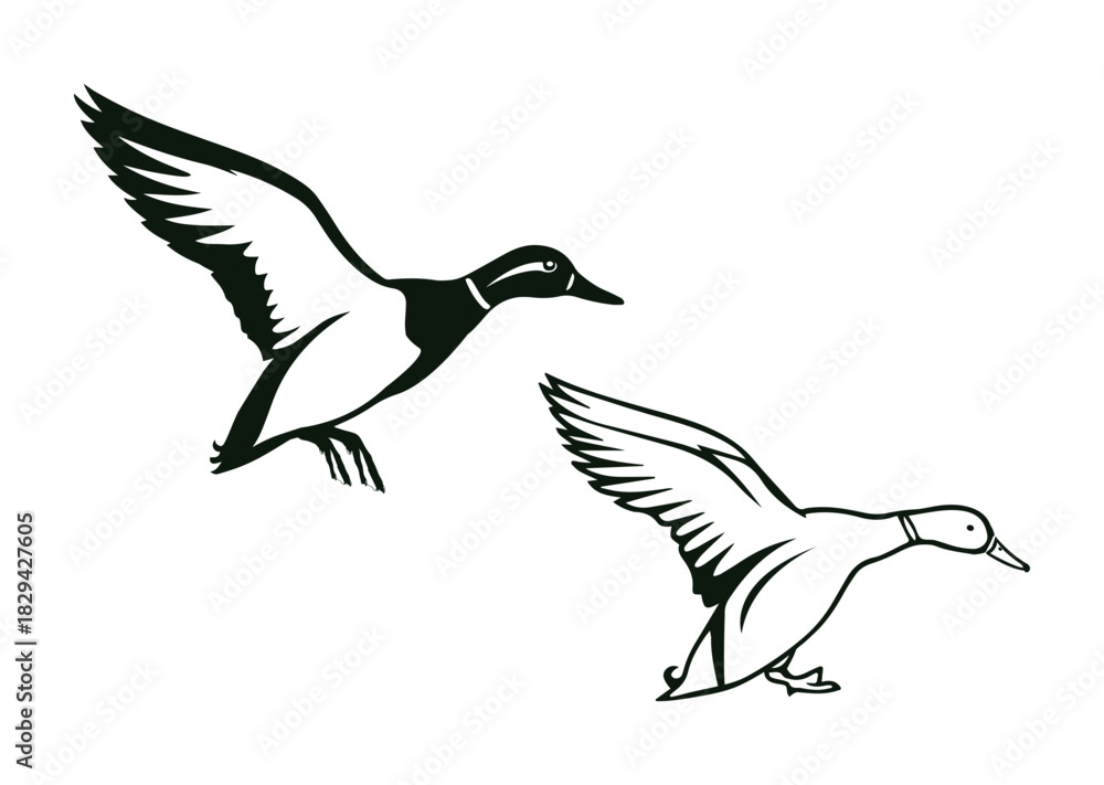 Obraz premium flying duck silhouette, outline flying duck vector design