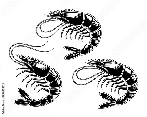 Three stylized black and white shrimp in a dynamic arrangement