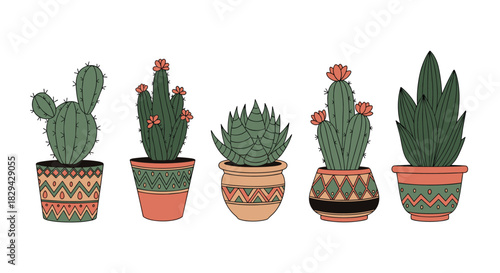 Charming collection of potted cactuses and succulents in various decorative pots with intricate patterns.