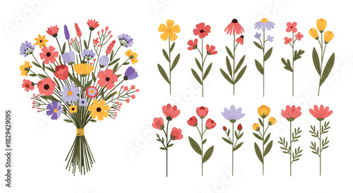 Comprehensive collection of wild floral elements featuring a vibrant bouquet of colorful wildflowers and individual flowers leaves and stems.
