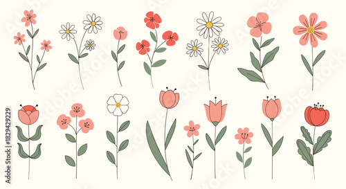 Charming set of various minimalist hand-drawn flowers with delicate red pink and white petals and green stems on a soft light beige background.