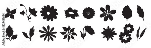 Beautiful Floral Vector Collection for Designers: Graphics Work Elements