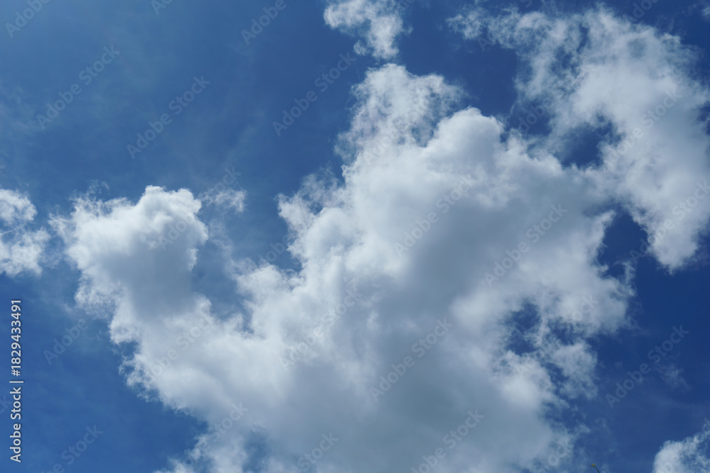 Naklejka premium Beautiful sky view nature background with soft clouds and green trees in natural light outdoor landscape