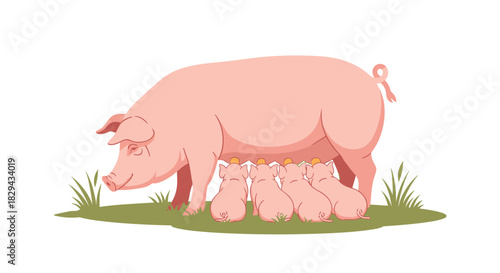 A mother pig nurses her four piglets on a grassy field.